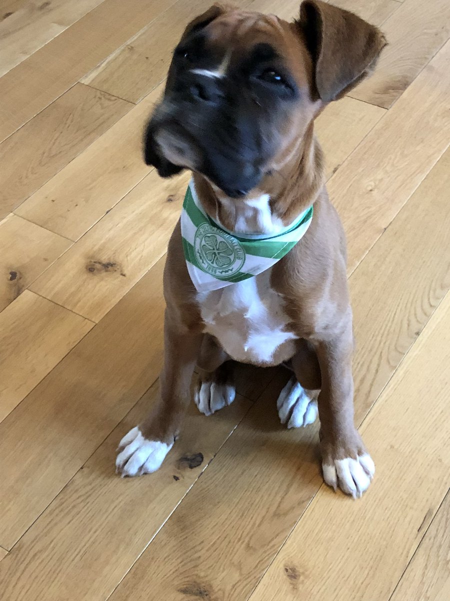 Jfad2000uk 1️⃣2️⃣0️⃣ tweet media