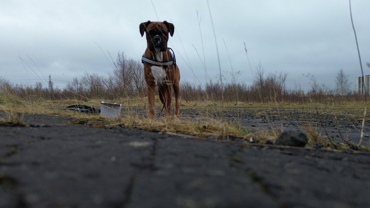 Jfad2000uk 1️⃣2️⃣0️⃣ tweet media