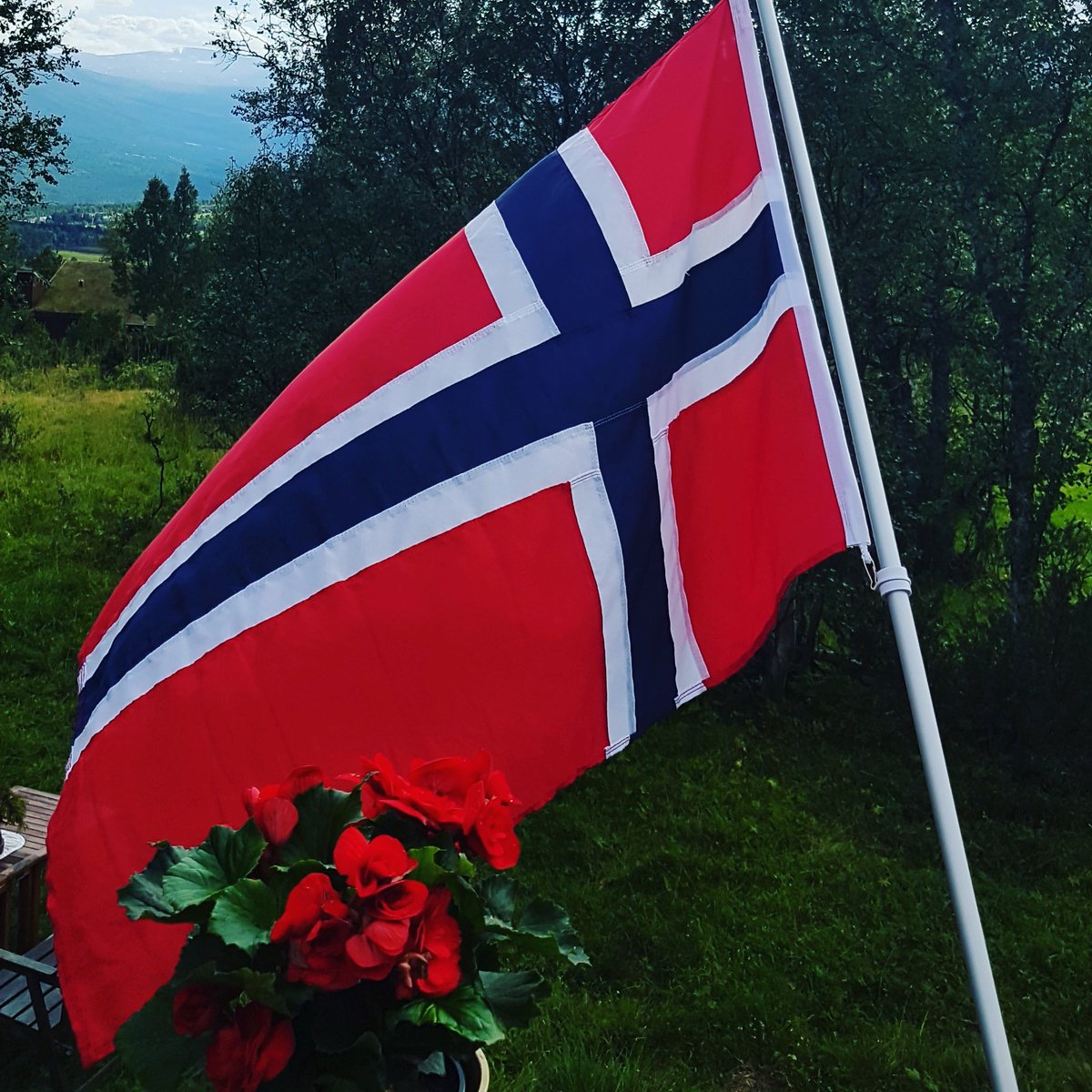 Syns det er stas jeg... VM i Trondheim. Ingen klager på været, alle er glade og stolte. For noen flotte utøvere, gratulerer!