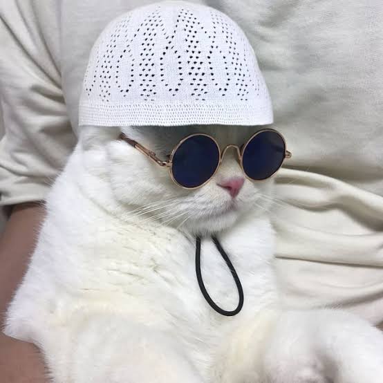 FarmeedLove's tweet image. Ramadan Mubarak ๐โจ๐คฒ
P.s-Same Same but different๐
P.s.s -No Offense
P.s.s.s- just for fun