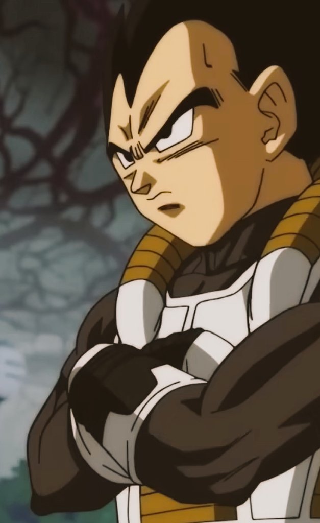 XenoBejita's tweet image. — he&apos;d dealt with a variation of the tree before, but this time, Towa and Fū&apos;s had gotten out of hand. 

&quot;You two: Eternia&apos;s finest. The Supreme Kai of time has tasked me with informing you exactly what has been transpiring here.

#𝕰𝐓𝐄𝐑𝐍𝐈𝐀 ☝︎  |  #𝐌𝐕𝐓𝐑𝐄𝐄