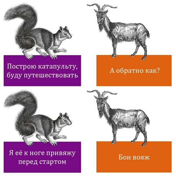 ну почему, почему буквально КАЖДЫЙ РАЗ разваливает на части от смеха, мему скоро сколько, лет 15?