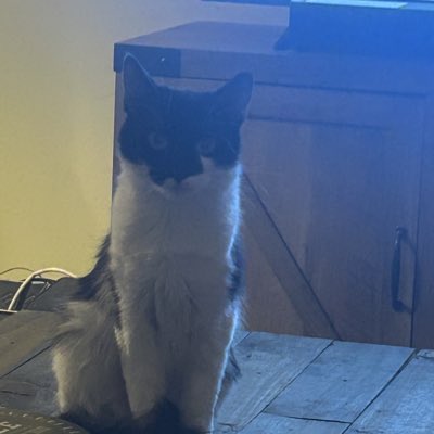 #NewProfilePic