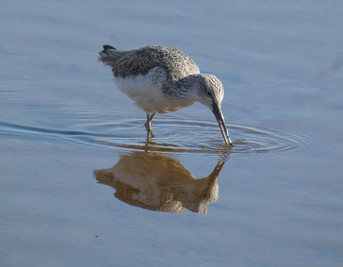 Martin Adams tweet media