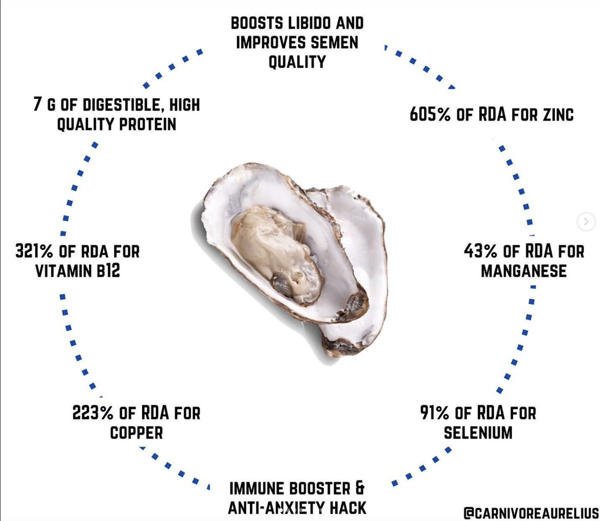 AlpacaAurelius's tweet image. eat more oysters