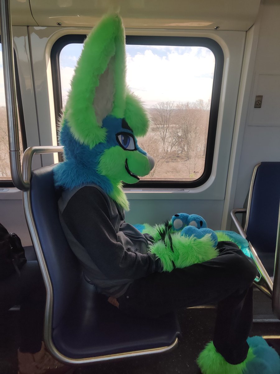 He has no thoughts.