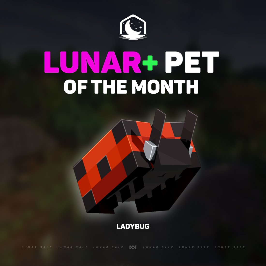 Lunar+ subscribers will receive an exclusive Ladybug Pet this month to show off in-game! 🐞✨

Join Lunar+ today and get:
• 10% off store-wide 
• Free cosmetics &amp; emotes 
• Custom Discord rank 
• Custom Lunar logo 
• No launcher ads 

Claim yours now: lunarclient.com/plus