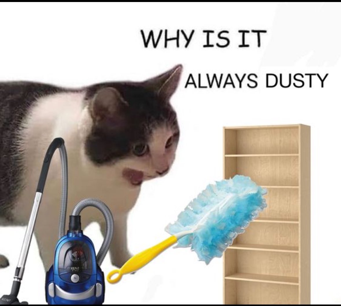 ADHD Memes (@adhdforreal) on Twitter photo 