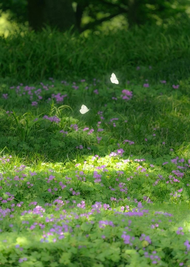 ᅠ ᅠ (@greendreaams) on Twitter photo 