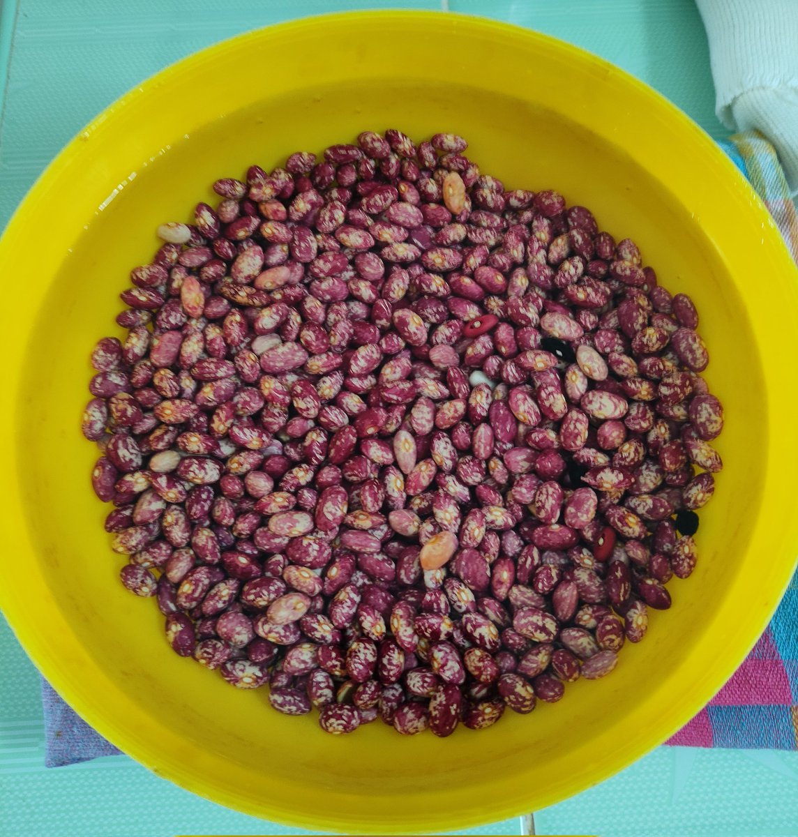 Justo cuando iba a poner los #FreeHoles se me va la luz. #UNEmpingueAtrasDeOtro #ElRemojoEterno