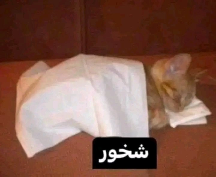 basmala (@yjscoree) on Twitter photo 