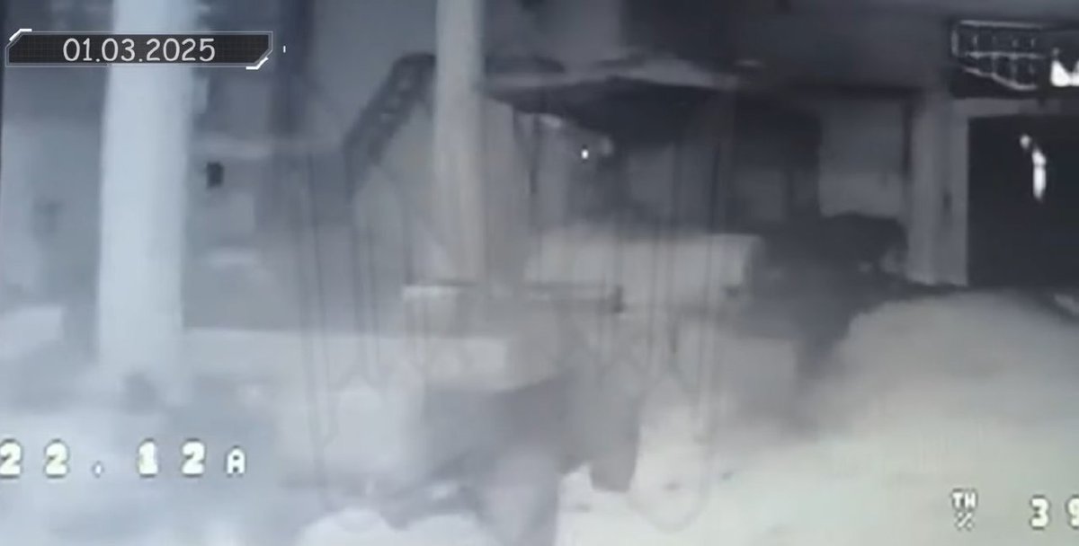 Аlex Skif tweet media