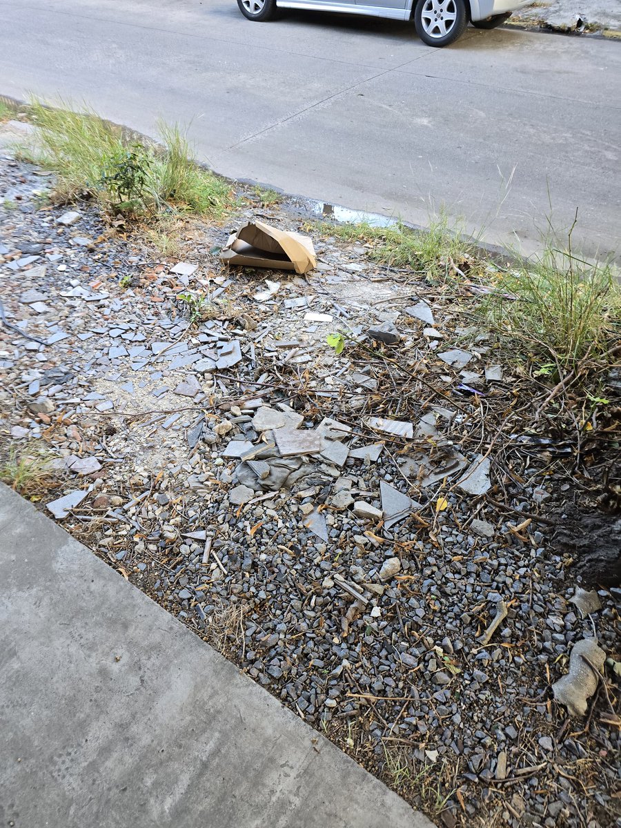 Gabriela Zallocco tweet media