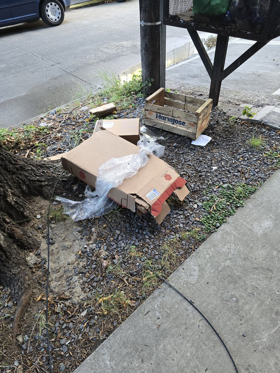 Gabriela Zallocco tweet media