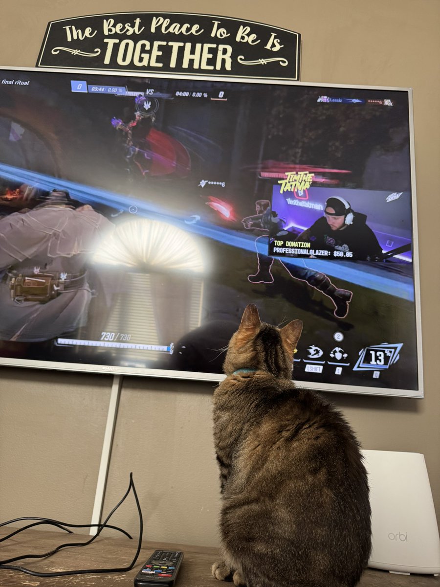 Mr. Meow loves himself some <a href="/timthetatman/">timthetatman👑</a>  #CatsOfX