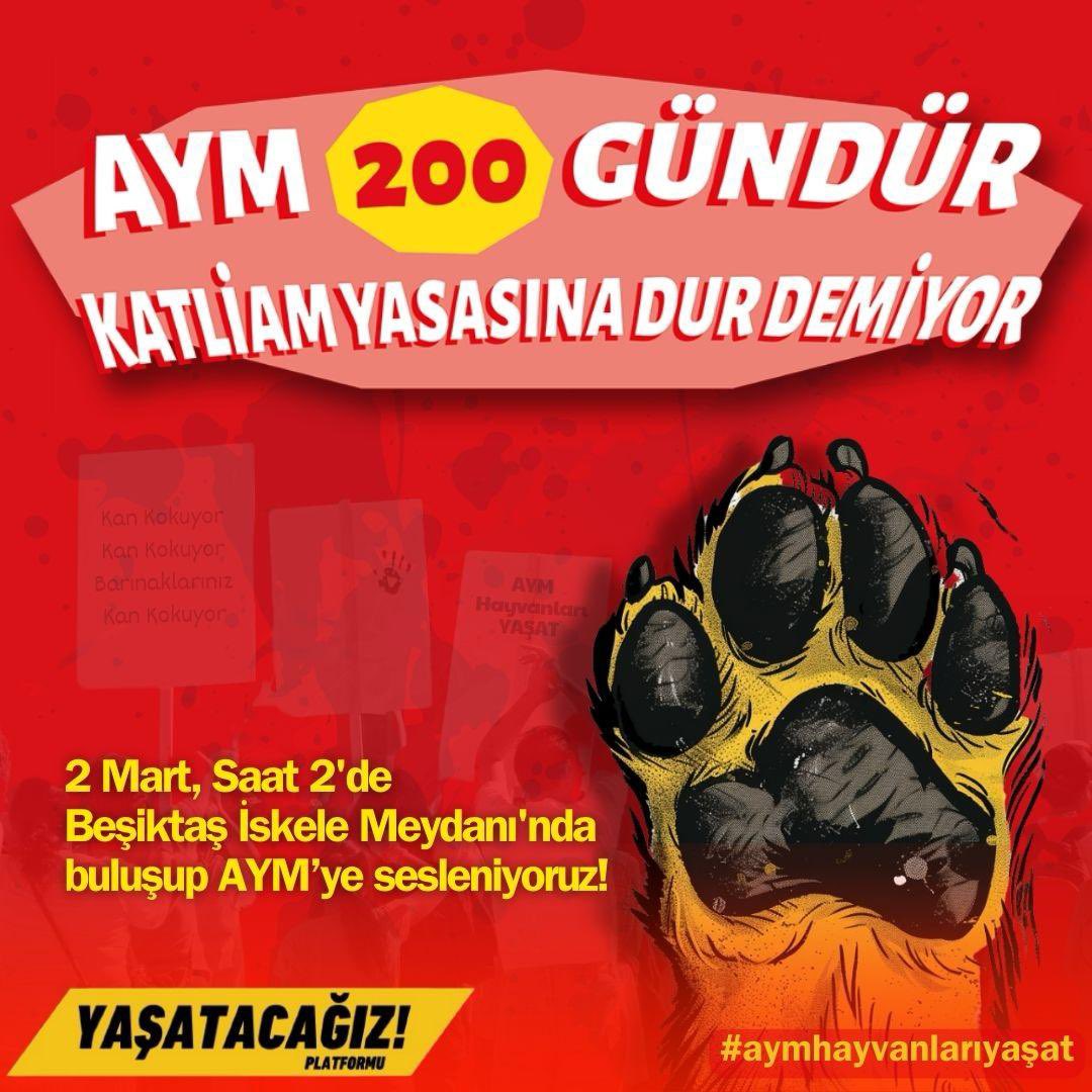 2 mart•saat 2•beşiktaş! 🗓️✍🏽

❗️TAM 200 (YAZIYLA İKİ YÜZ) GÜNDÜR katliam yasasını iptal etmeyen Anayasa Mahkemesine seslenmek için 2 Mart saat 2’de buluşuyoruz!

Tüm yaşam hakkı savunucularına çağrımız: Dövizini, düdüğünü, isyanını al gel!

BİRLİKTE BİZ BU YASAYI