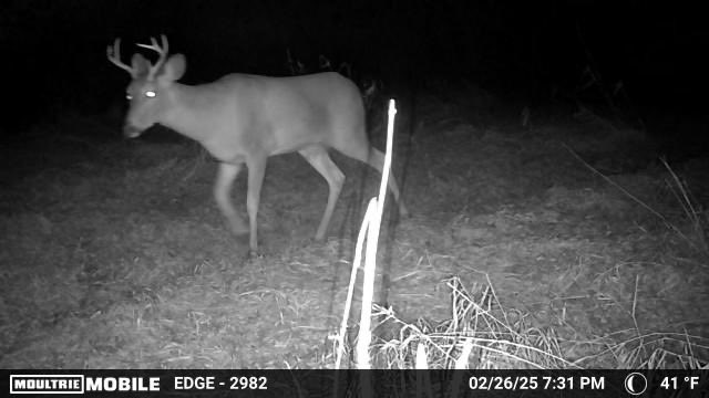 Ain’t dropped yet 🤔