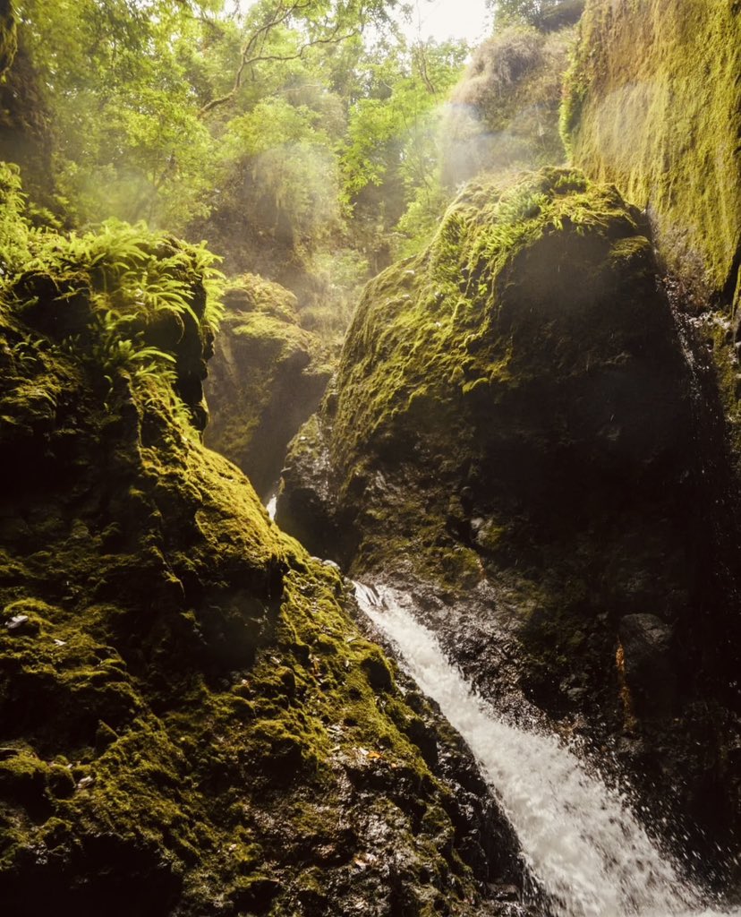 Guinea Ecuatorial tiene muchísimos lugares naturales que todavía no han sido explorados.😊😊😊😊

Que maravilla, por favor. 🥰🥰🥰🥰🇬🇶🇬🇶🇬🇶🇬🇶 desde MOKA. Bioko Sur. 

📸 @aramidas_canyon_team