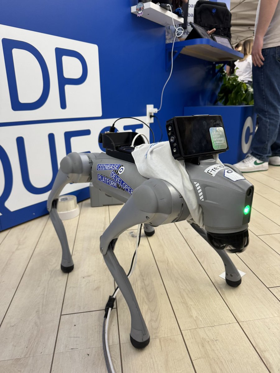 yvessire's tweet photo. new member of the coinbase fam #cdpaws https://t.co/YRMVCD4NSC