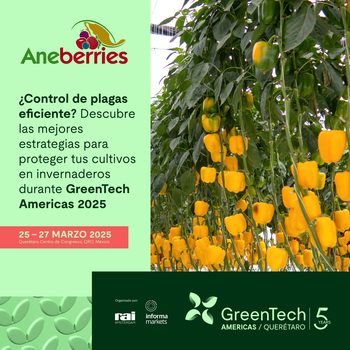 ¡Mantén las plagas lejos de tus cultivos!
Descubre las soluciones más avanzadas para el control de plagas y enfermedades en GreenTech Americas, ¡REGÍSTRATE AQUÍ!
acob.guru/Pangea/eventos…