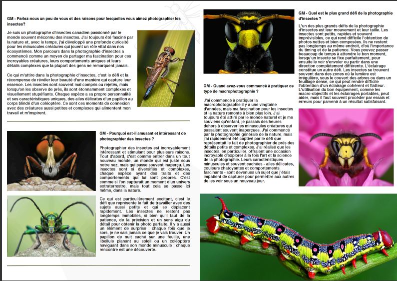 photolator's tweet photo. #PPOC Professional Protographers of Canada
Starting at page 21     @paulparentphoto
https://t.co/nQVKaAnLs9

#Macrophotography #PhotographyIsArt #photography 
#Photolator #picturethis @PPOC_National @RGS_IBG 
#Nature #naturephotography https://t.co/8RnNRdVqQG