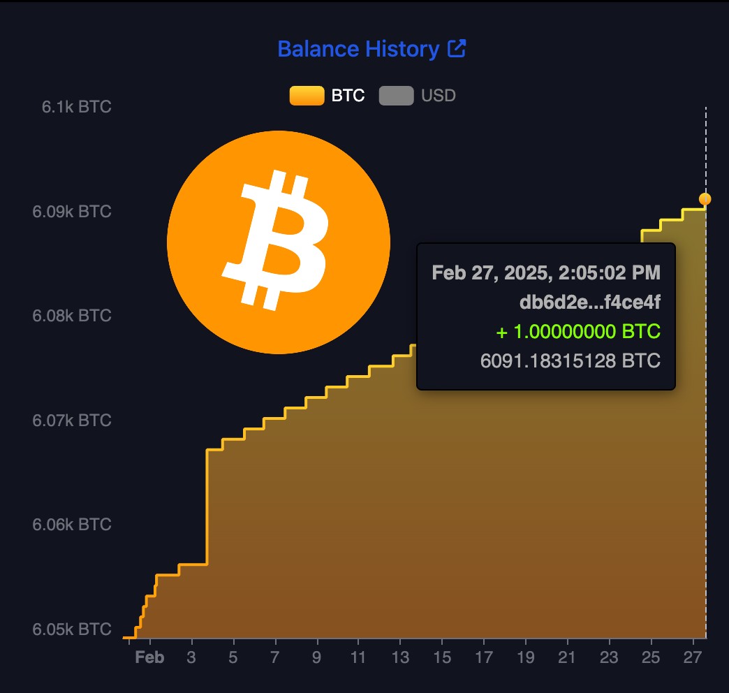 JUST IN: 🇸🇻 El Salvador bought the Bitcoin dip again today 👏
