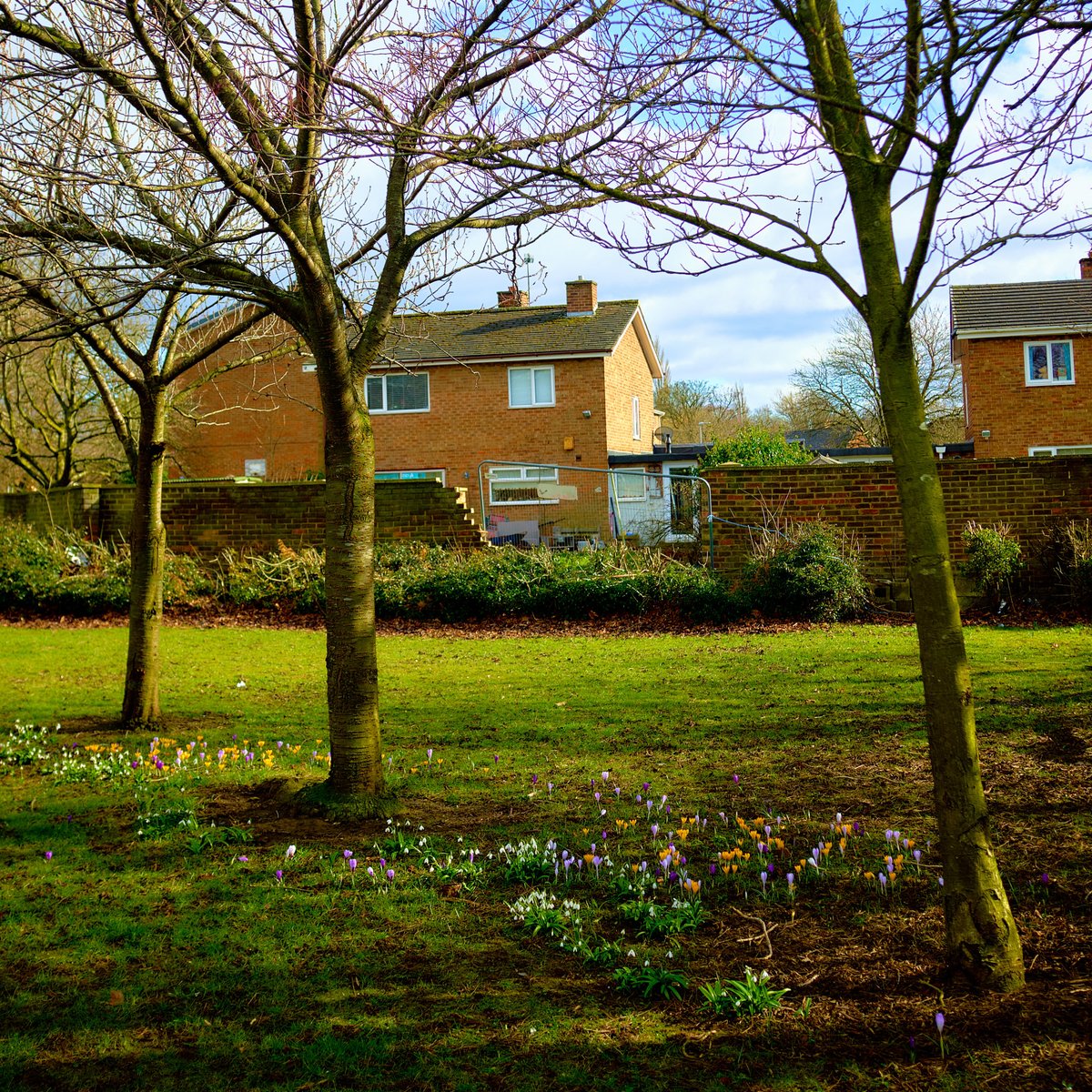 Martin Geddes tweet media