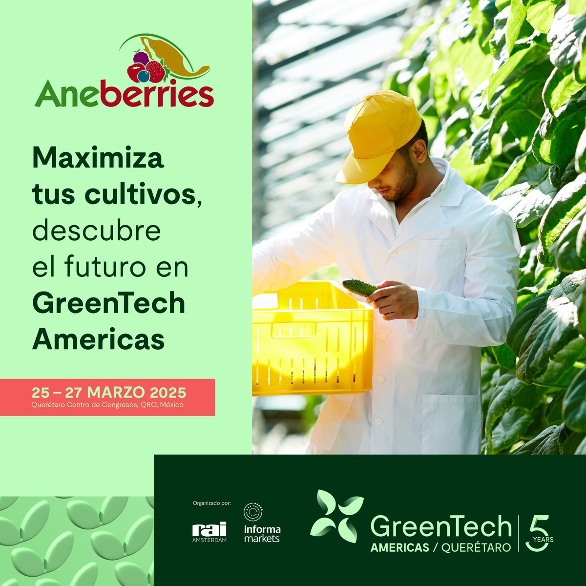 ¡El futuro de la horticultura está aquí, AneBerries te invita a GreenTech Americas 2025! 

¡HAZ TU REGISTRO AQUÍ!

#GreenTechAmericas2025 #InnovaciónAgrícola #HorticulturaProtegida#GreenTech2025 #RegistroAbierto #InnovaciónAgrícola #HorticulturaProtegida
acob.guru/Pangea/eventos…