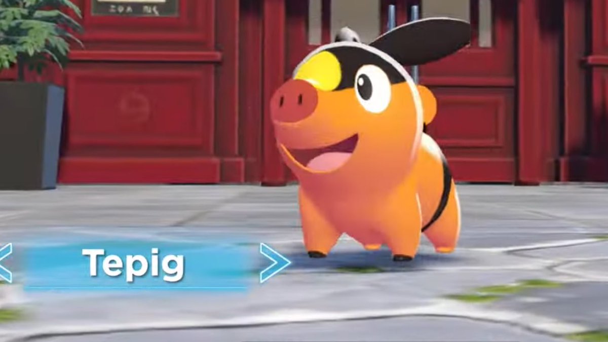 I can’t take the Tepig hate 😭