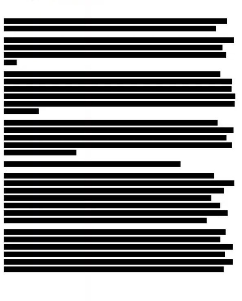 You were promised the full Epstein files. You got this.