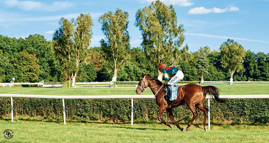 The Role of a Jockey: More than just riders, jockeys are strategic athletes who study tracks, manage race dynamics, and maintain peak physical condition to command their mounts to victory. doubledtrailers.com/horse-jockeys/