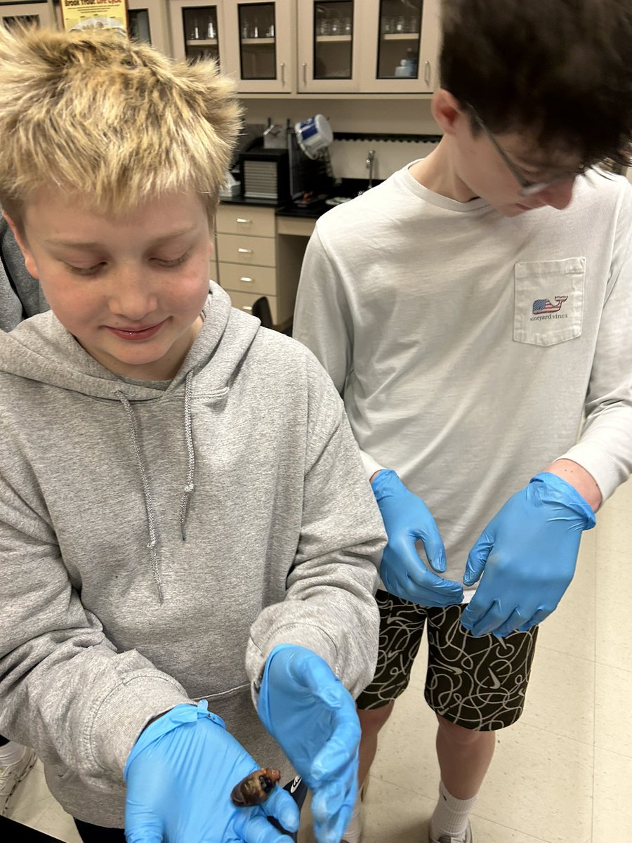 GandyScience's tweet photo. Pheasant heart dissection and exploring how muscles work. It was an exciting day! @TMSTrinityPride https://t.co/xpyLQt6s27