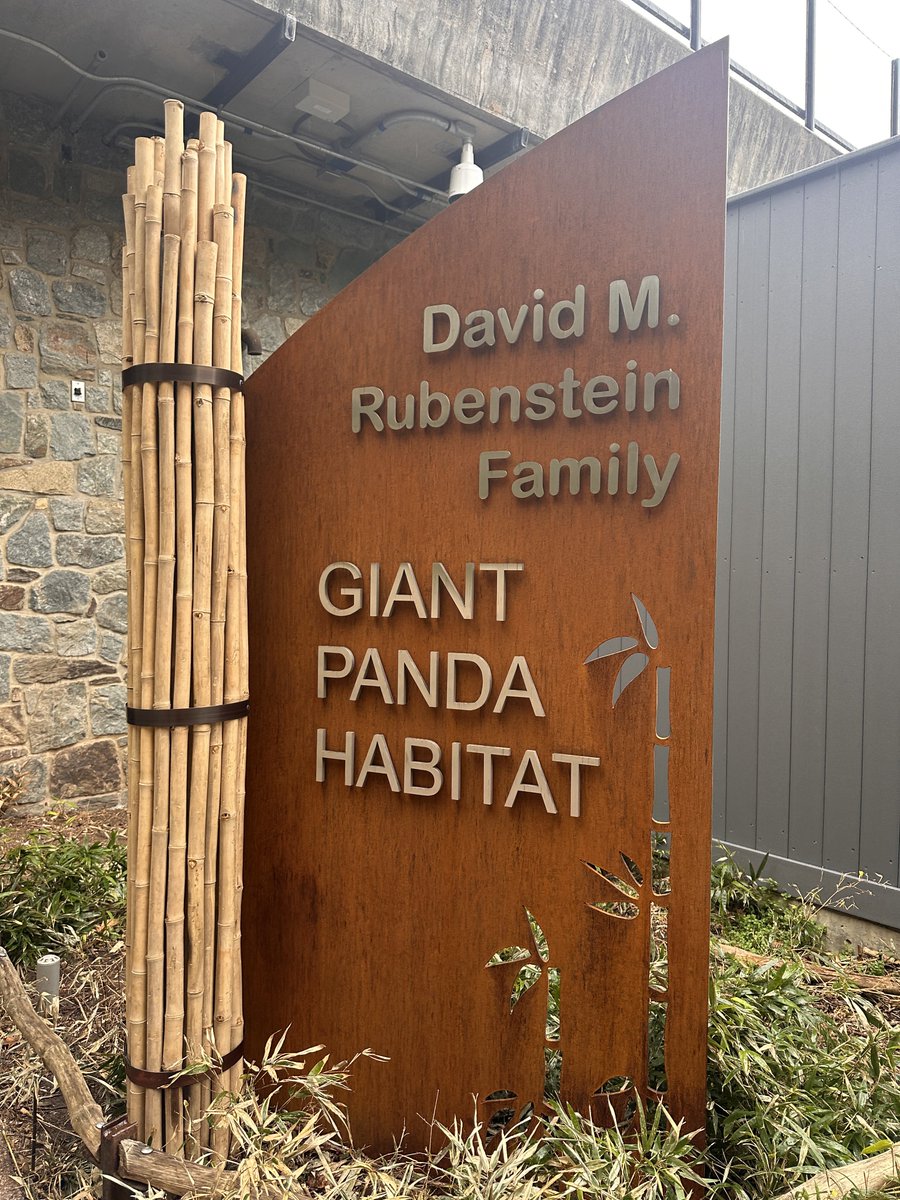 HicksRhena's tweet image. My joy of the day 🐼 

Thanks @DM_Rubenstein #GoOs