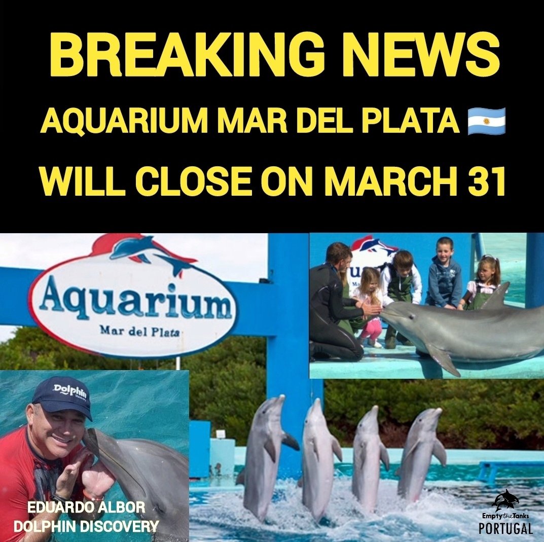 Eduardo Albor dono d empresa Dolphin Discovery anunciou q/seu delfinário, Aquarium Mar del Plata na Argentina irá encerrar dia 31 d Março após 32 anos d existência.
Os seus 13golfinhos serão transferidos p/outros delfinários q/Dolphin Discovery possui. Ler legenda no Instagram!