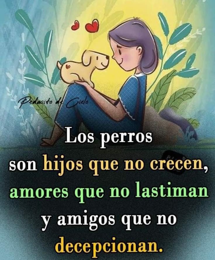 Los peluditos son hijos que no crecen, amores que no lastiman y amigos que no decepcionan.

Dicen amar a los animales, pero los ignoran en la calle. Dicen respetarlos, pero los abandonan cuando estorban.

Las palabras sin acciones son hipocresía. Recapacita. Analiza. Cambia.🐾🐾