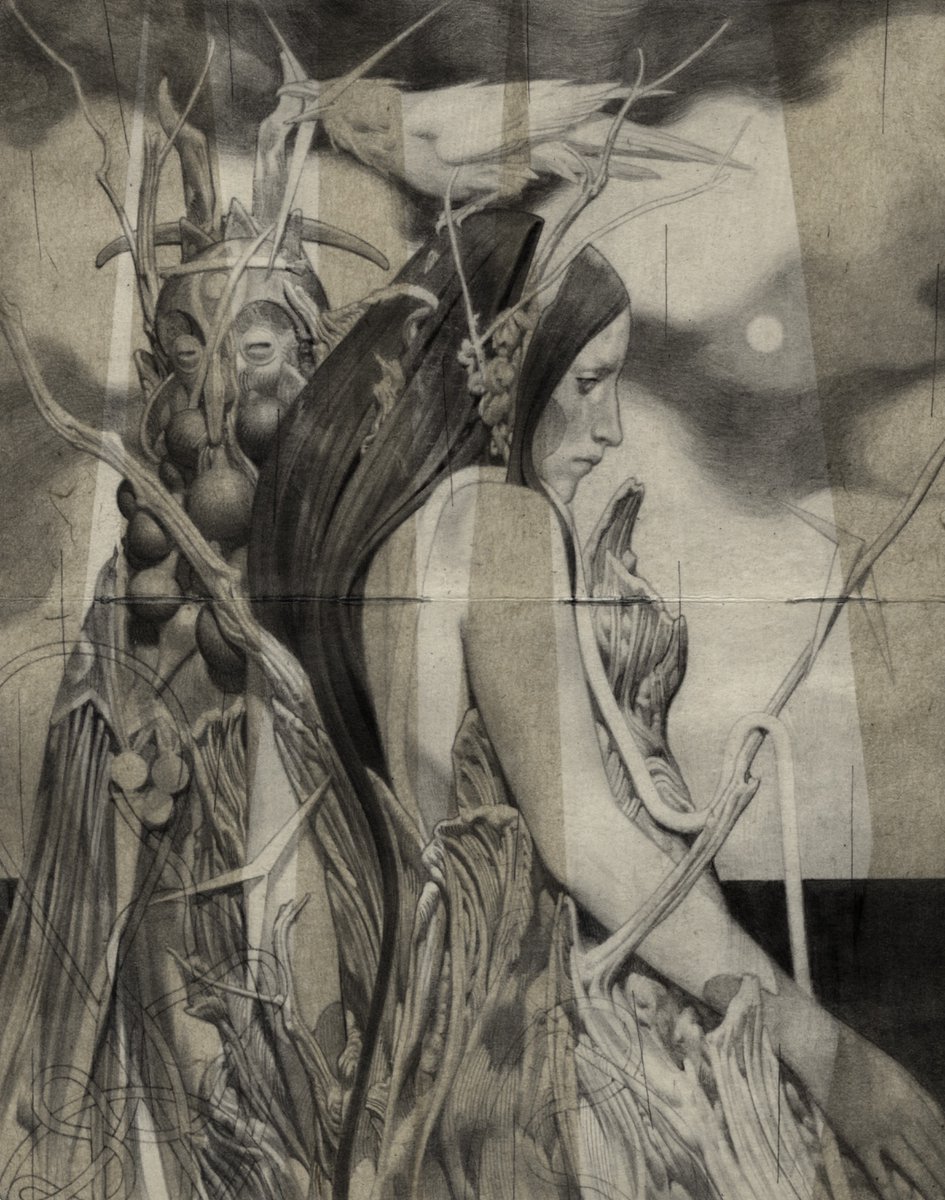 vestido (study) • graphite on moleskine and washi paper