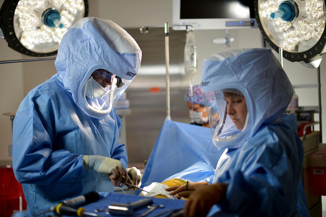 St. Luke's Health MD (@stlukeshealthmd) on Twitter photo Orthopedic surgery is the least diverse medical specialty in terms of gender. That's why at <a href="/BCMOrtho/">Baylor Medicine Orthopedics & Sports Medicine</a>, we're doing our part to diversify the next generation, with 40 percent of <a href="/bcmhouston/">BCMHouston</a> residents identifying as female. <a href="/StLukesHealthTX/">St. Luke's Health</a> #WomenInStem ow.ly/P6Zy50V7ZCu Orthopedic surgery is the least diverse medical specialty in terms of gender. That's why at <a href="/BCMOrtho/">Baylor Medicine Orthopedics & Sports Medicine</a>, we're doing our part to diversify the next generation, with 40 percent of <a href="/bcmhouston/">BCMHouston</a> residents identifying as female. <a href="/StLukesHealthTX/">St. Luke's Health</a> #WomenInStem ow.ly/P6Zy50V7ZCu