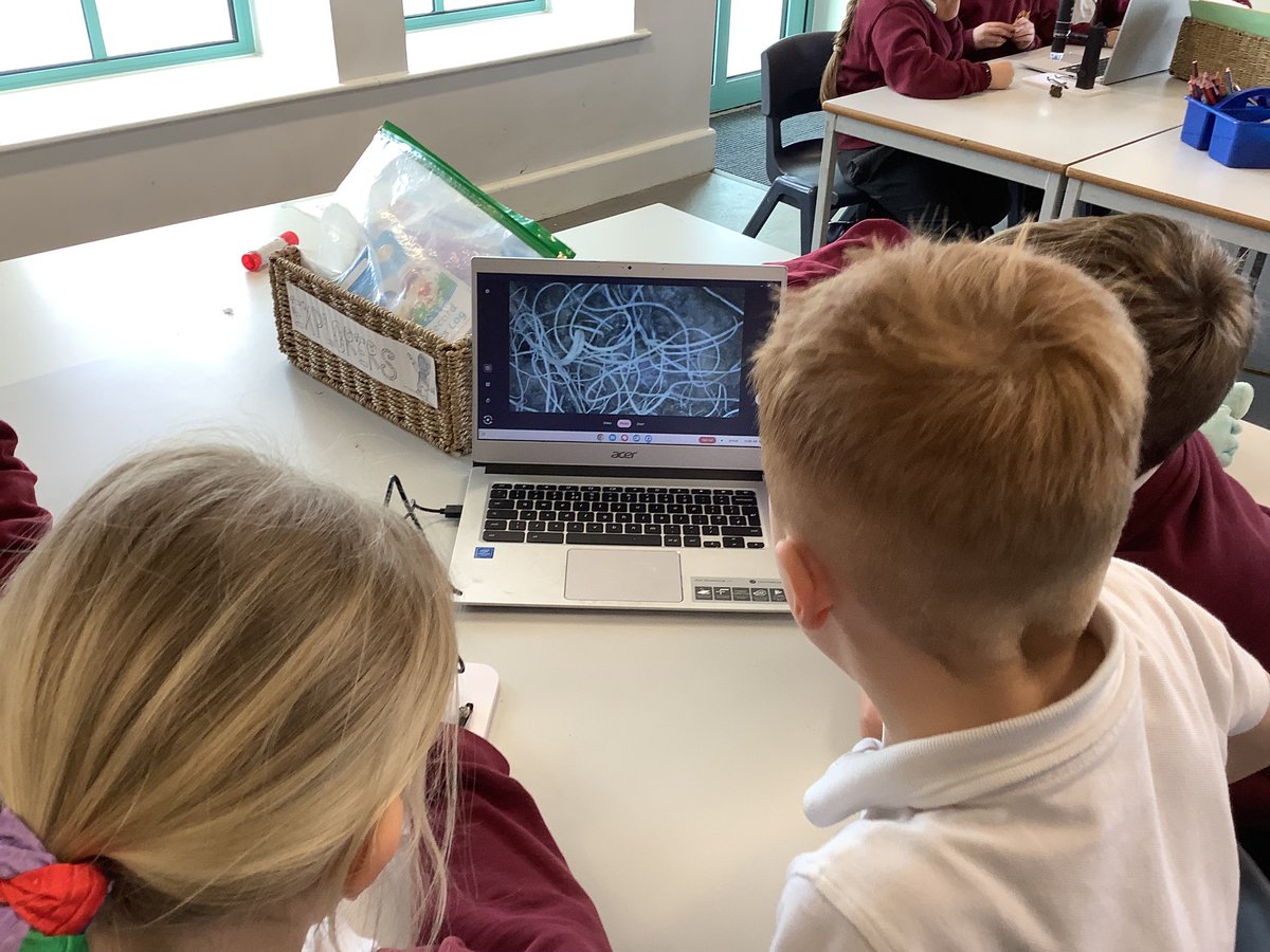 Year 2 enjoyed investigating the difference between bulbs and seeds! #STEAMlearning