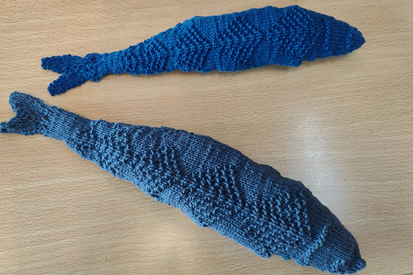 Brei je mee? Het lijkt ons leuk om een aantal gebreide vissen te hebben, voor een slinger of een grote mobile. Alle kleuren zijn welkom! Je vindt het (Engelstalige) patroon op: ravelry.com/patterns/libra… 
Je kunt je vis langsbrengen of opsturen naar Ecomare. We kijken ernaar uit!