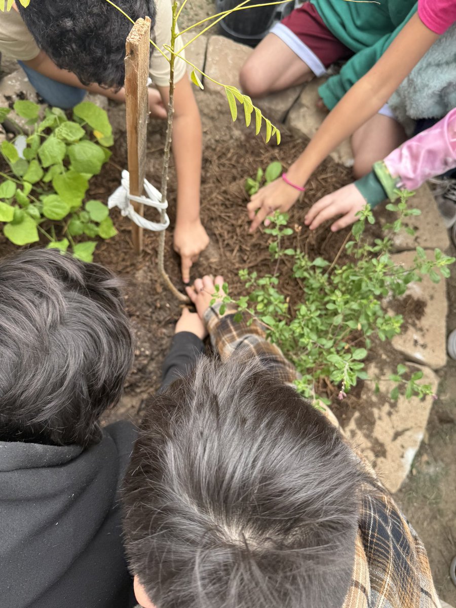 Mr. Byrd’s Classroom (@byrd_classroom) on Twitter photo <a href="/NISDElemEnviron/">NISD Elementary Environmental Science</a> delivered an engaging Learning through Restoration lesson. Another step making our <a href="/NISDEvers/">@NISDEvers</a> Unicorns Global Citizens. 🦄 🌎
#climatechange #enviormentalawareness <a href="/NISDElemEnviron/">NISD Elementary Environmental Science</a> delivered an engaging Learning through Restoration lesson. Another step making our <a href="/NISDEvers/">@NISDEvers</a> Unicorns Global Citizens. 🦄 🌎
#climatechange #enviormentalawareness