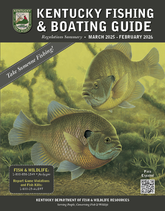 Kentucky's 2025 Fishing Guide is now live online:

fw.ky.gov/Fish/Documents…

Printed copies of this guide should reach license vendors around March 7. (Delay caused by newsprint sourcing issues.)