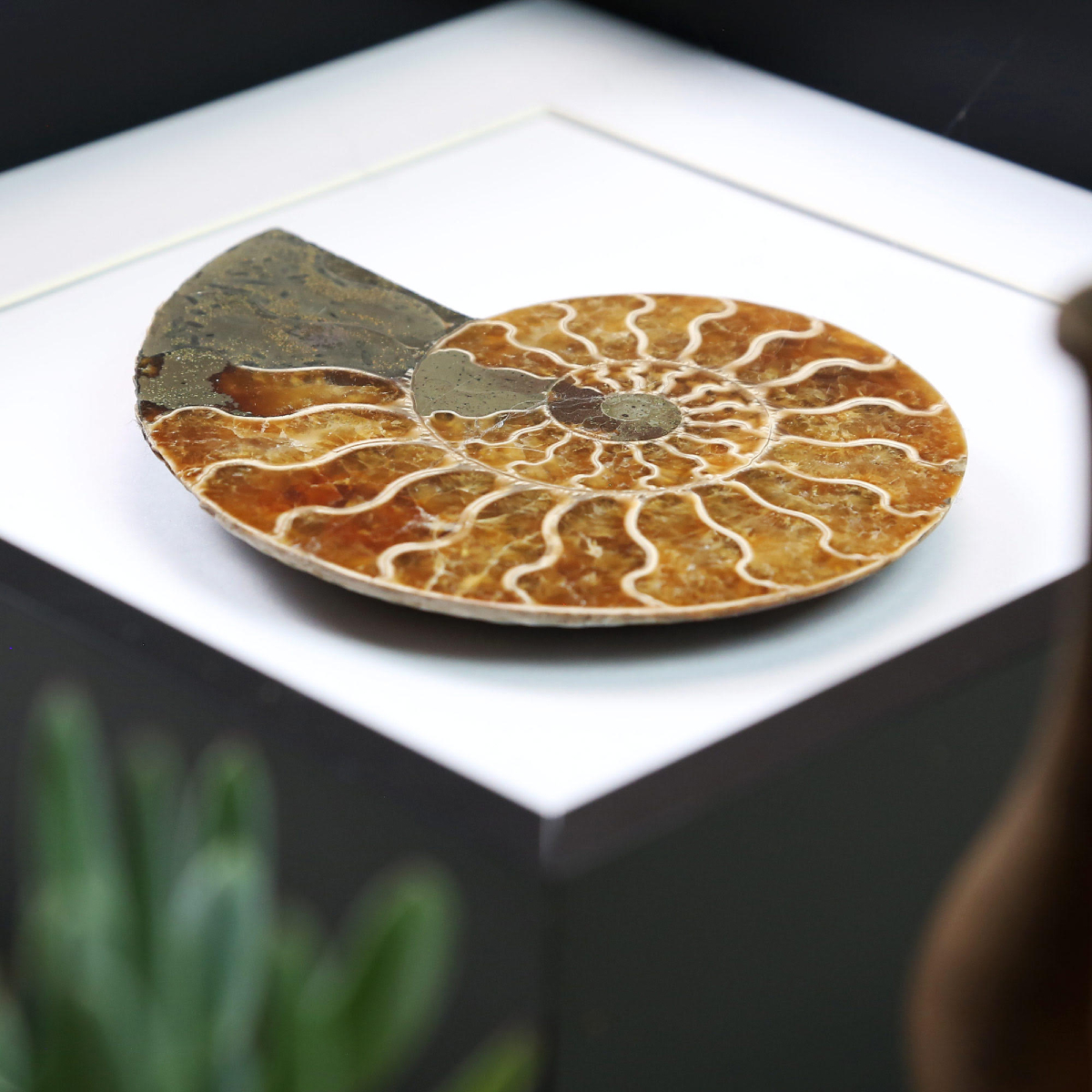 CuratedStudio tweet media