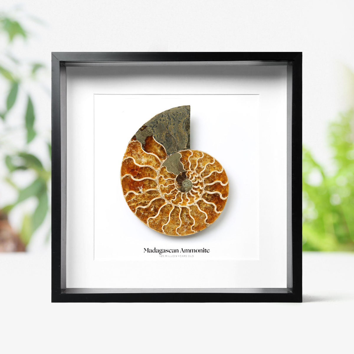 CuratedStudio tweet media