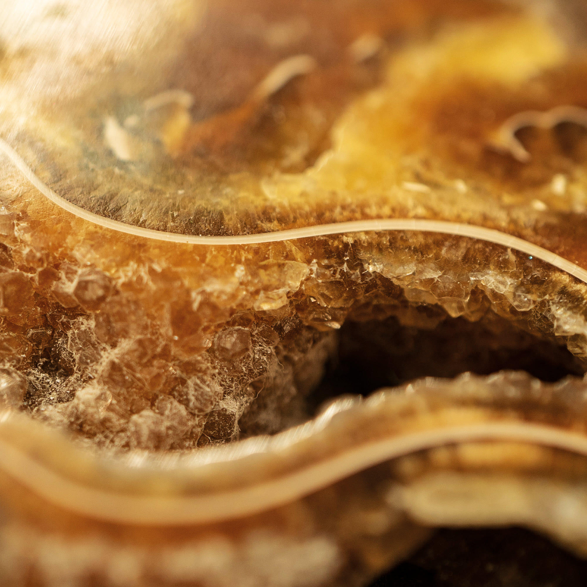 CuratedStudio tweet media