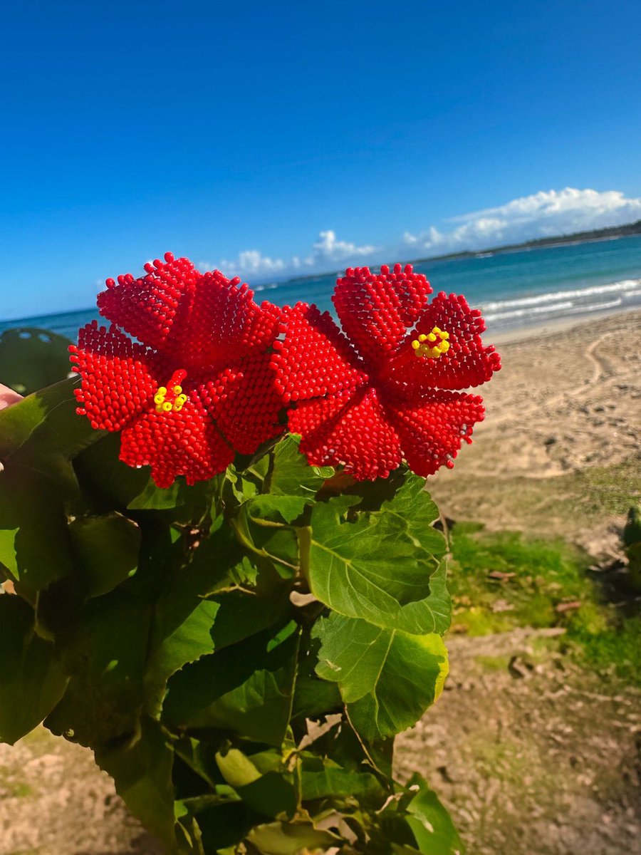 sherleymelohm's tweet photo. Hoy celebramos nuestra independencia nacional🌺🇩🇴 Nuestros aretes de Cayena, símbolo de nuestra tierra, me recuerdan la fuerza y la pasión de nuestro pueblo. 

¡Feliz Día de la Independencia!

📸 @ElenaVeloz https://t.co/Msh43DvIYH