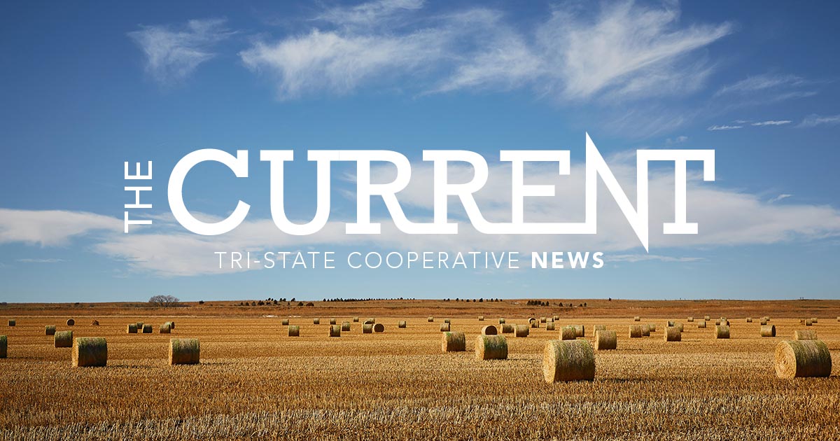 Catch up with this month's issue of The Current 
⚡ bit.ly/3XhlV9m

- Burlington-Lamar transmission line energized
- 2024 energy efficiency targets achieved
- Working through mid-January winter storms
- An interview with Tri-State's Wildfire Mitigation Program Manager