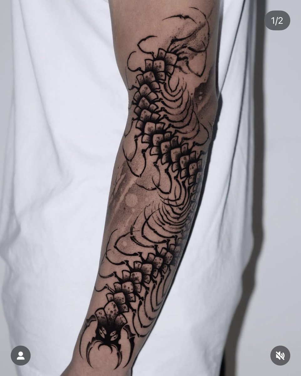 Cillicit XII tweet media