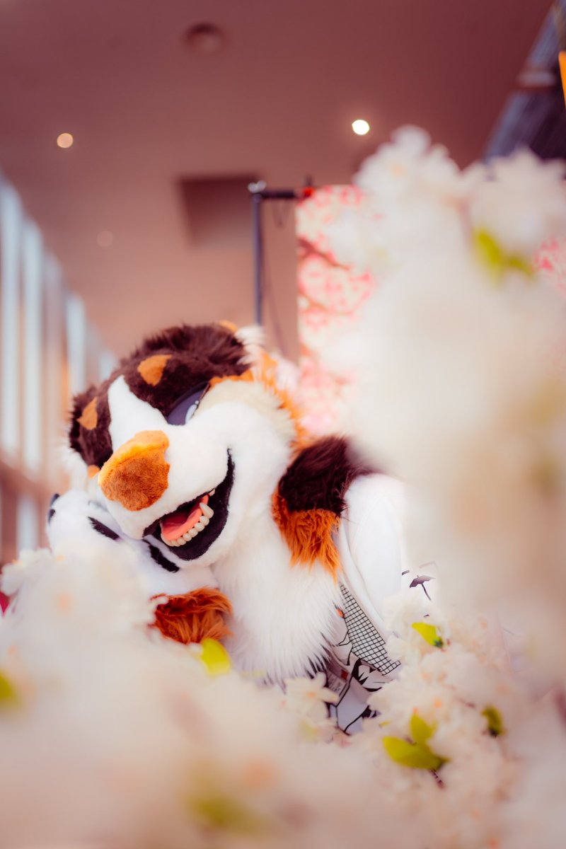 Let me introduce you Tidel :D lovely Manokit! Adopted by <a href="/del_cron/">Del 🏳️‍🌈</a> 

📸 by <a href="/Georgie_woofy/">Georgie that silly woof🐾</a> 

#fursuit #manokit #partialsuit #furry #costume