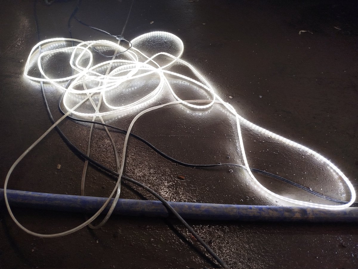 Real l8fe SenS exploration.
bsky.app/profile/limass…