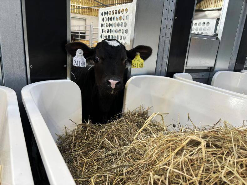 Irish Farmers Journal (@farmersjournal) on Twitter photo 📸 | Lyons Farm has continued to invest in facilities for the past six decades, with the new jewel in the Lyons Farm being its new dairy calf research and education facility.
For more details: eu1.hubs.ly/H0h6lR-0 📸 | Lyons Farm has continued to invest in facilities for the past six decades, with the new jewel in the Lyons Farm being its new dairy calf research and education facility.
For more details: eu1.hubs.ly/H0h6lR-0